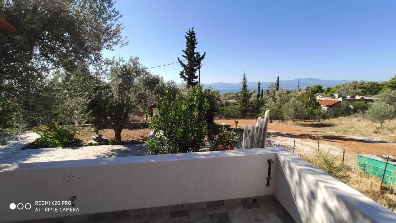 Apartmán Panorama Erétria Exteriér fotografie