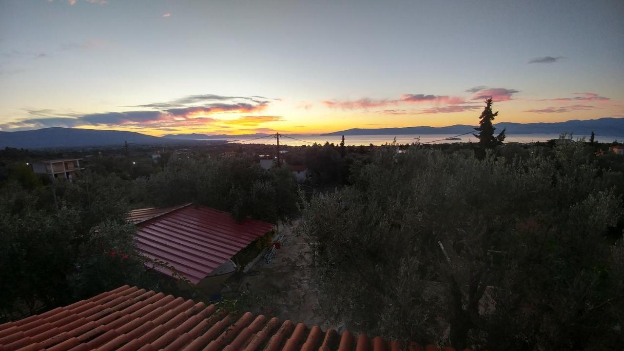 Apartmán Panorama Erétria Exteriér fotografie